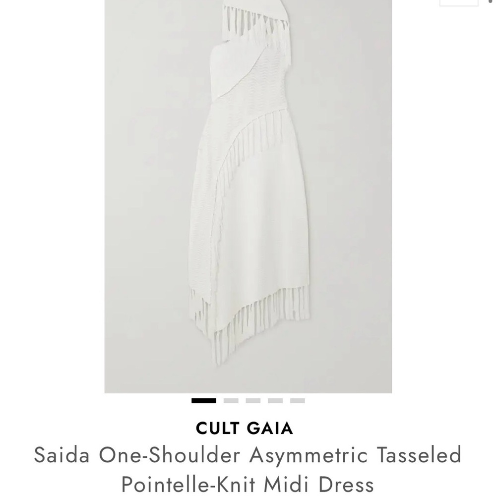 Cult Gaia Fringe Asymmetrical dress